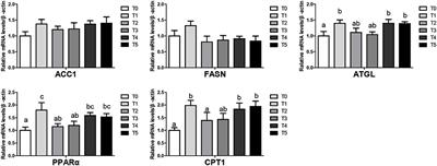 Clostridium autoethanogenum protein inclusion in the diet for broiler: Enhancement of growth performance, lipid metabolism, and gut microbiota